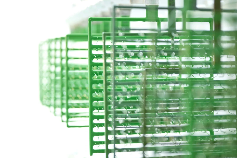 Grüne Kunststoff-Gestelle in der Gestellgalvanik der C. Jentner GmbH in Pforzheim