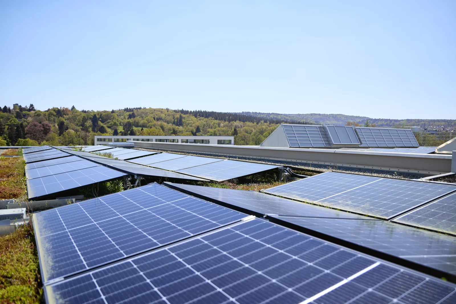 Photovoltaikanlagen auf dem Dach mit Dachbegrünung am Standort Pforzheim